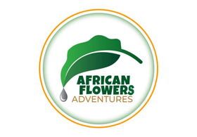 African Flowers Adventures