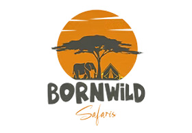 Born Wild Safaris