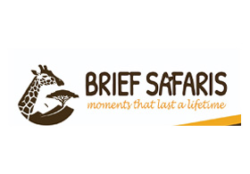 Brief Uganda Safaris