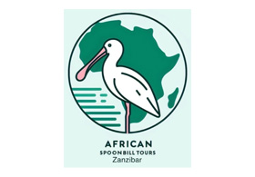 safari-deal-african-spoonbill-tours-01