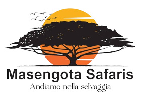 safari-deal-masengota-safaris-01