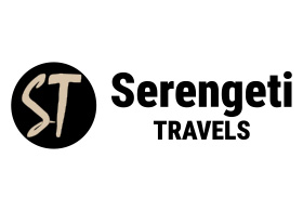Serengeti Travels