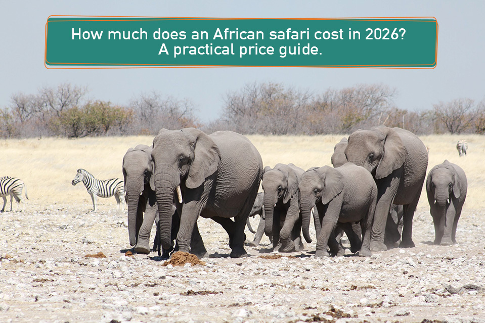 safari deal How much does an africa safari cost